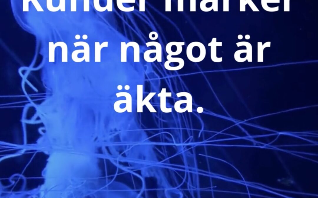 Aktuellt+ 13 Maneten